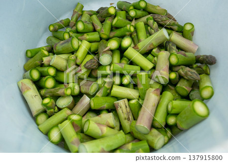 A pile of freshly cut asparagus A pile of freshly cut asparagus 137915800