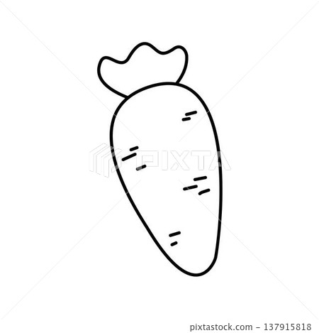 carrot outline vegetable carrot outline vegetable 137915818