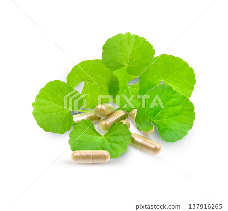 Fresh Gotu Kola leaves ( Asiatic pennywort, Indian pennywort, Centella asiatica ) and powder capsules isolated on white background. Fresh Gotu Kola leaves ( Asiatic pennywort, Indian pennywort, Centella asiatica ) and powder capsules isolated on white background. 137916265