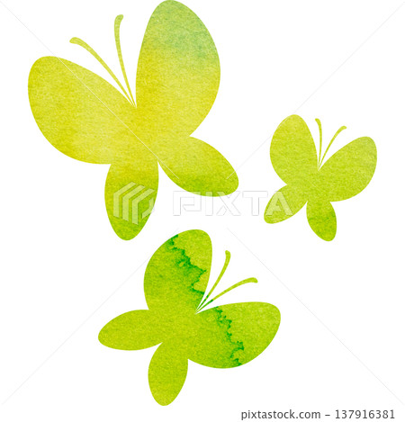 Beautiful watercolor butterfly icon image illustration 137916381