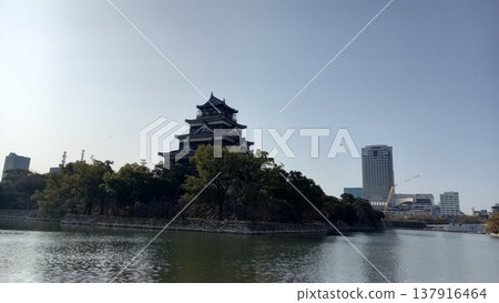 廣島城：護城河與天守閣 137916464
