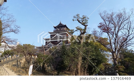 Hiroshima Castle: The main keep as seen from the upper level of the main enclosure. Hiroshima Castle: The main keep as seen from the upper level of the main enclosure. 137916469
