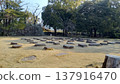 Foundation stones of the former castle tower at Hiroshima Castle 137916470