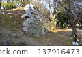 Hiroshima Castle - crumbling stone walls 137916473