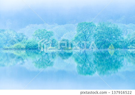 Submerged forest at Shirakawa Lake, Yamagata Prefecture, early morning in May 137916522