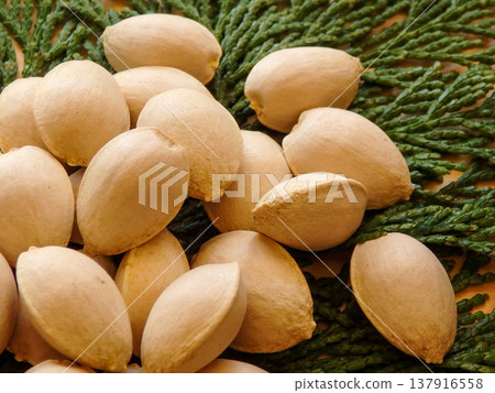 Ginkgo nuts (with shells) Ginkgo nuts (with shells) 137916558