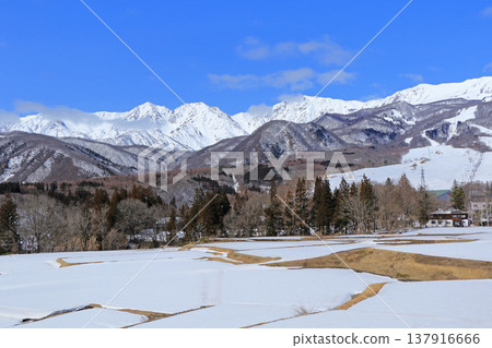 早春的栂池高原滑雪場 早春的栂池高原滑雪場 137916666
