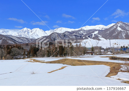 早春的栂池高原滑雪場 早春的栂池高原滑雪場 137916667