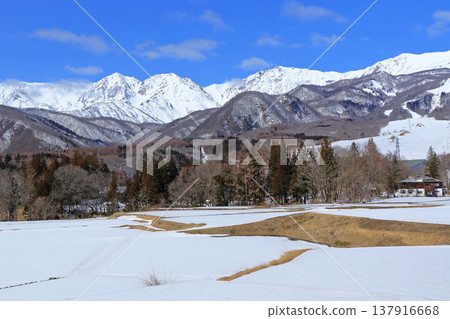 早春的栂池高原滑雪場 137916668