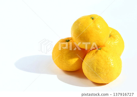 Citrus fruit (Hime Koharu) 137916727