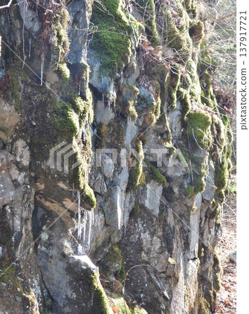 Rocky cliffs on the mountainside of the waterfall-viewing walking trail in the Kurashina area Rocky cliffs on the mountainside of the waterfall-viewing walking trail in the Kurashina area 137917721