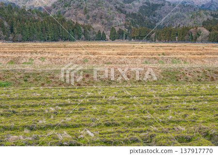 Rural scenery of Makino Town, Takashima City, Shiga Prefecture Rural scenery of Makino Town, Takashima City, Shiga Prefecture 137917770