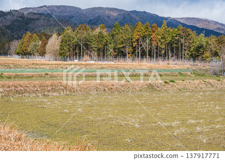 滋賀縣高島市牧野町的田園風光 滋賀縣高島市牧野町的田園風光 137917771