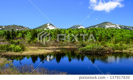 八甲田:初夏美景-水蓮沼池與小岳 八甲田:初夏美景-水蓮沼池與小岳 137917830