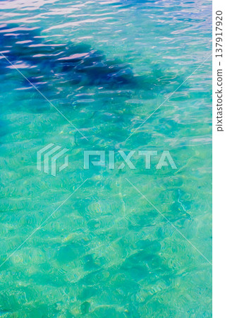 Water plants Water plants 137917920