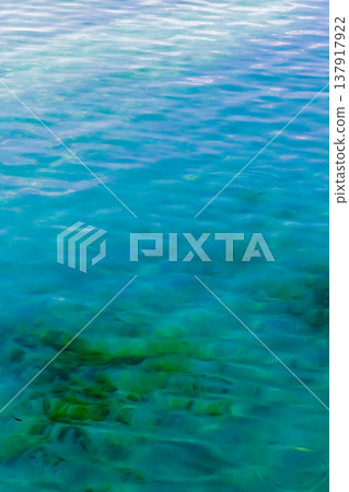 Water plants Water plants 137917922