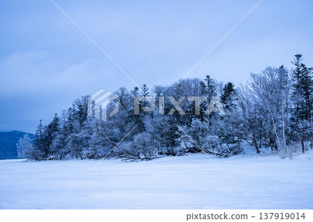 Winter scenery in Hokkaido: frost-covered trees and snowfields, frozen lakes and blue skies—a tranquil winter landscape typical of Hokkaido. Winter scenery in Hokkaido: frost-covered trees and snowfields, frozen lakes and blue skies—a tranquil winter landscape typical of Hokkaido. 137919014