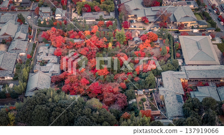 NOV 28 2025 Sogenchi Teien Serene Japanese Garden Kyoto Japan NOV 28 2025 Sogenchi Teien Serene Japanese Garden Kyoto Japan 137919066