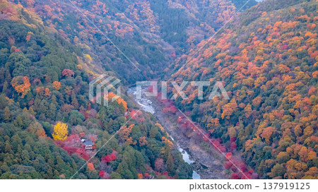 NOV 28 2025 Scenic River Gorge of Rankyo in Kyoto 137919125