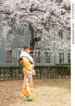 日本女性身著振袖和服,在櫻花樹下慶祝成年禮。 日本女性身著振袖和服,在櫻花樹下慶祝成年禮。 137919350