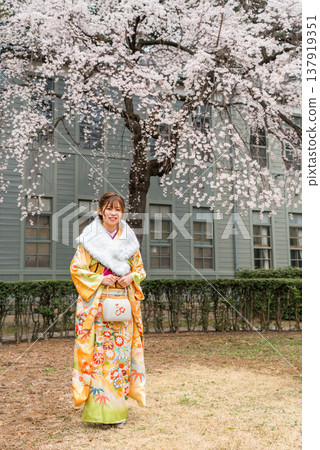 日本女性身著振袖和服,在櫻花樹下慶祝成年禮。 日本女性身著振袖和服,在櫻花樹下慶祝成年禮。 137919351