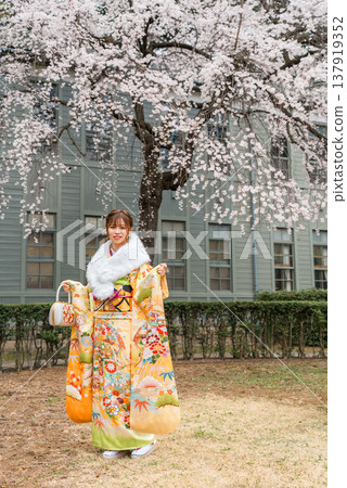 日本女性身著振袖和服,在櫻花樹下慶祝成年禮。 日本女性身著振袖和服,在櫻花樹下慶祝成年禮。 137919352