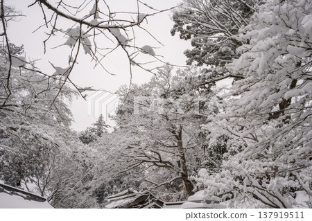 雪（高尾山藥王院） 137919511