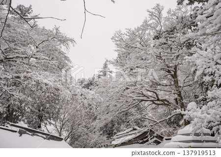 Snow (Takao-san Yakuo-in Temple) Snow (Takao-san Yakuo-in Temple) 137919513