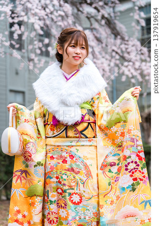 Japanese women celebrating their coming of age, wearing furisode kimonos under cherry trees. Japanese women celebrating their coming of age, wearing furisode kimonos under cherry trees. 137919654