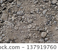 混雜著石頭和礫石的地面 137919760