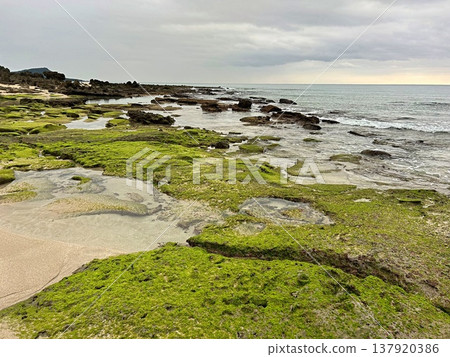 奄美大島的岩石海岸：覆蓋著綠色海藻的岩礁和清澈見底的海水。 137920386