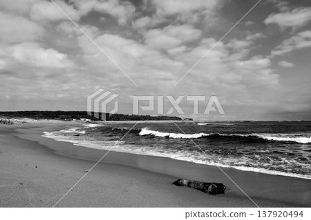 Kimigahama 137920494