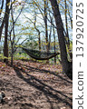 Hammock in the woods 137920725