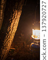 Night lantern 137920727