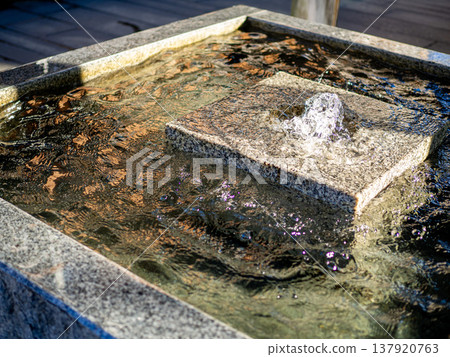 A well in a residential area where clean water springs forth: Taiman's Well 137920763