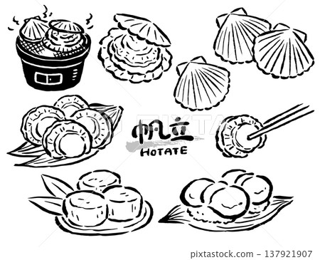 扇貝(貝類、菜餚等)——單色線條圖——插圖集 扇貝(貝類、菜餚等)——單色線條圖——插圖集 137921907