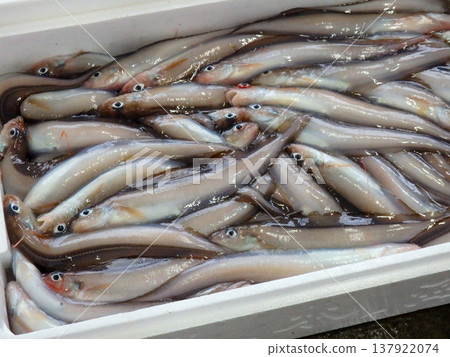 Freshly caught Genge fish were on display at the market. 137922074