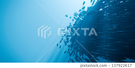 Sardine School Bait Ball Underwater Blue Ocean Fish Swarm, 3D Render Sardine School Bait Ball Underwater Blue Ocean Fish Swarm, 3D Render 137922617