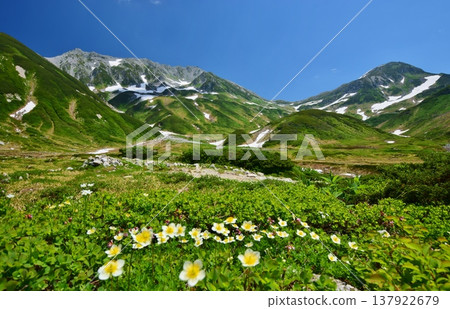 The Tateyama Alps where the Chinglema flowers bloom The Tateyama Alps where the Chinglema flowers bloom 137922679