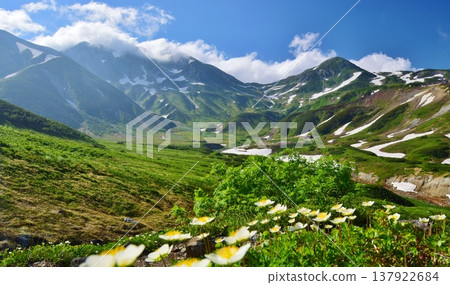 The Tateyama Alps where the Chinglema flowers bloom 137922684