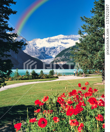 The beautiful Lake Louise in Banff National Park The beautiful Lake Louise in Banff National Park 137922897