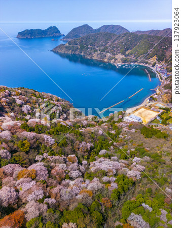福井縣若狹町禦轎山，山櫻全景盡收眼底。日本海與山櫻交相輝映，構成春日美景。無人機航拍恆神半島。 137923064