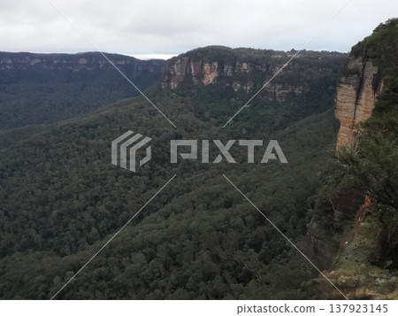 一片綠色的海洋填滿了深邃的山谷－藍山展現出一幅寧靜祥和的景象。 137923145