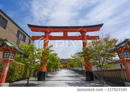 伏見Inari Taisha神社的Torii和接近的道路 137923394