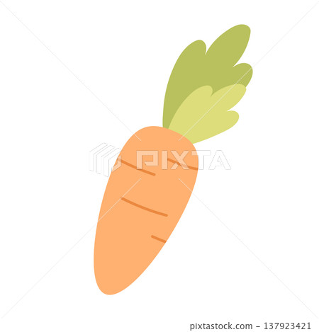 Carrot vector illustration isolated on white background, simple orange vegetable, cute flat food element for cooking design, healthy nutrition concept for stickers, packaging and menu design Carrot vector illustration isolated on white background, simple orange vegetable, cute flat food element for cooking design, healthy nutrition concept for stickers, packaging and menu design 137923421