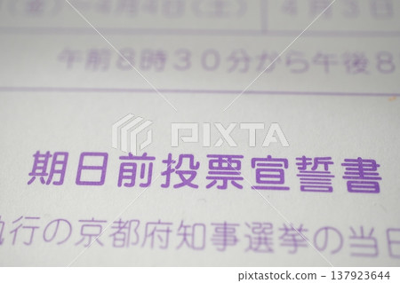 選舉投票入場券明信片 137923644