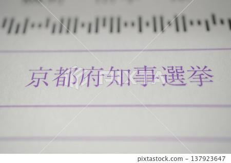選舉投票入場券明信片 137923647