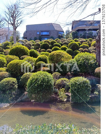 修剪過的園林植物 修剪過的園林植物 137923708