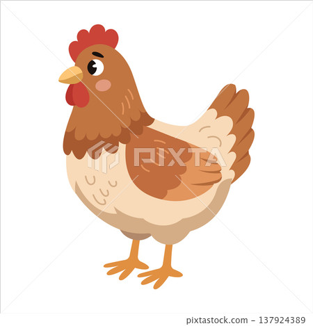 Cute cartoon chicken vector illustration isolated farm bird Cute cartoon chicken vector illustration isolated farm bird 137924389