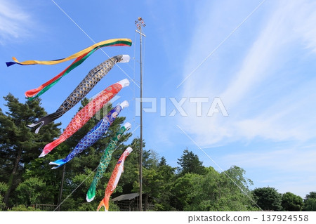 鯉魚飄飄藍天五月 鯉魚飄飄藍天五月 137924558
